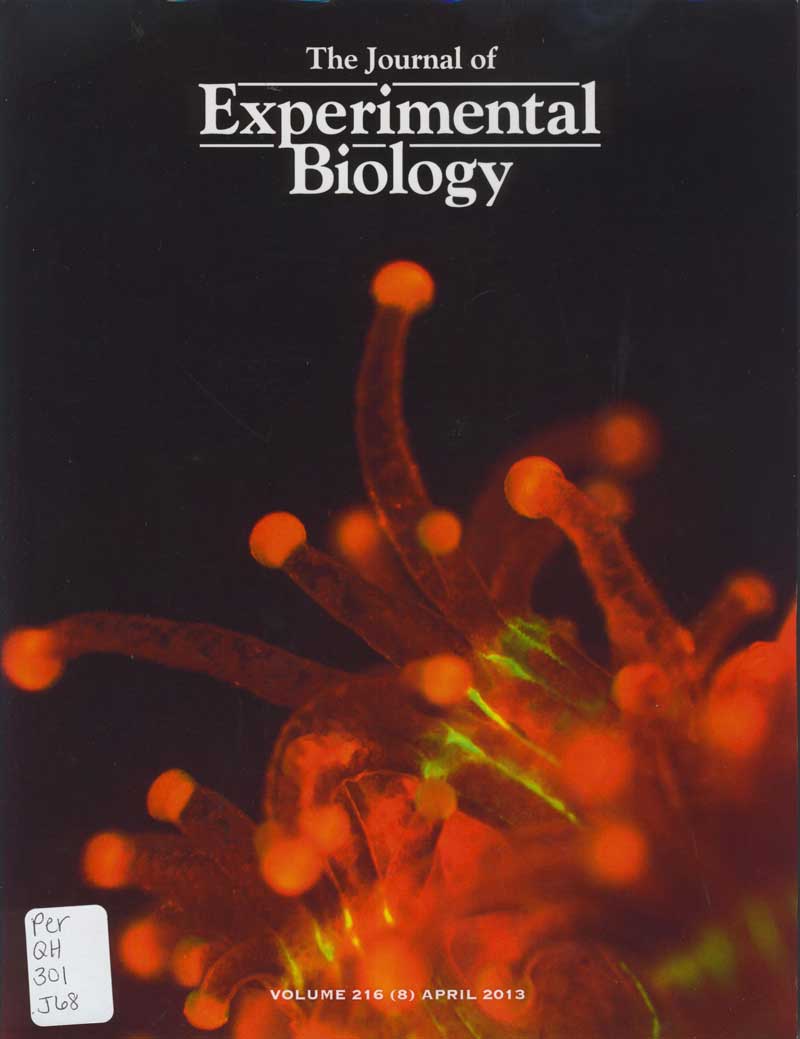 Journal of Experimental Biology cover