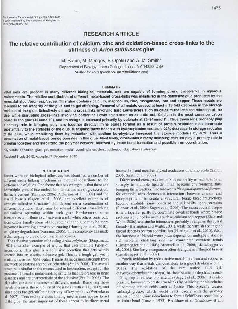 Journal of Experimental Biology sample page